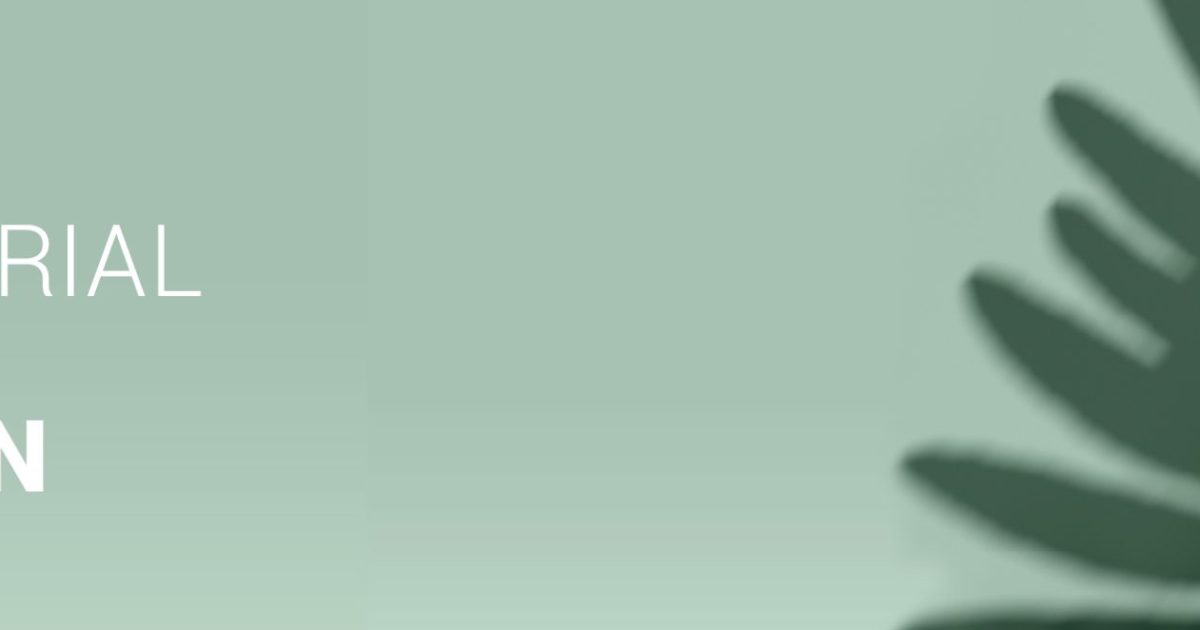 ImageTavola-disegno-1Grafica